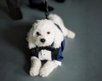 Maßgeschneiderter schwarzer Hunde-Smoking mit Satinrevers, Fliege und Knöpfen, Hochzeitsanzug nach Maß für Malteser und alle anderen Rassen
