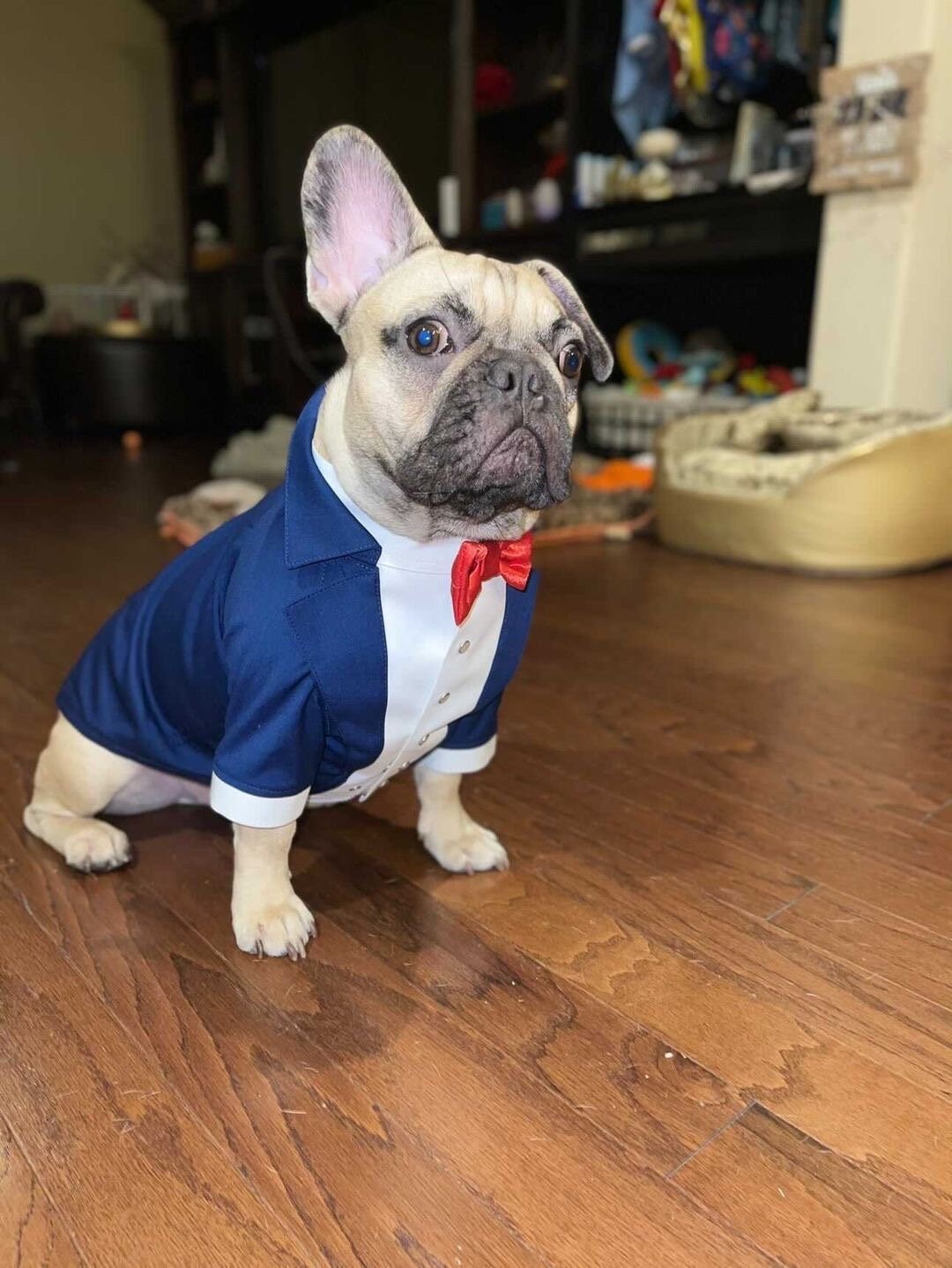 Smoking blu navy per cani: abito da sposa personalizzato con