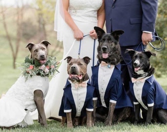 Navy dog tuxedo with blush bow tie Dog wedding attire Formal dog suit English bulldog bespoke tuxedo Birthday dog suit Custom dog tux