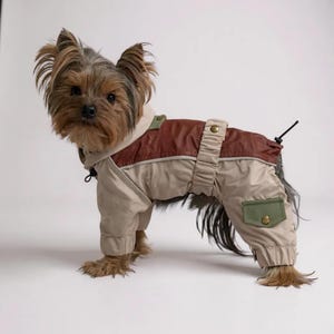 May include: A small dog wearing a tan and brown dog jumpsuit with a hood. The jumpsuit has a brown upper section, tan lower section, and green pocket detail. The dog is standing on a white background.