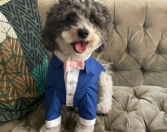 Bespoke Royal Blue Dog Tuxedo: Blush Bow Tie, Wedding Attire