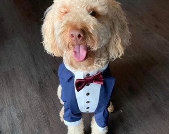 Navy blue dog tuxedo with burgundy bow tie Doodle dog tuxedo Formal suit for dog Birthday dog costume Bespoke suit Bulldog bespoke suit