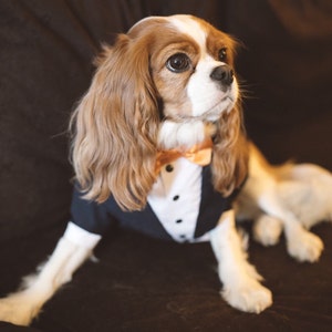 Navy blue wedding dog tux Custom made dog wedding attire Dog formal suit Elegant dog costume Birthday dog Royal blue dog tux image 6