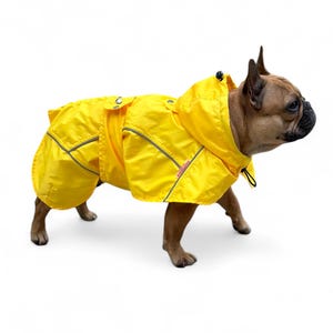 Puede incluir: Un impermeable amarillo para perros con capucha y ribetes reflectantes. El abrigo está diseñado para un perro y tiene aberturas para las patas. El perro es un bulldog francés marrón. El impermeable tiene un pequeño logotipo en el lateral.