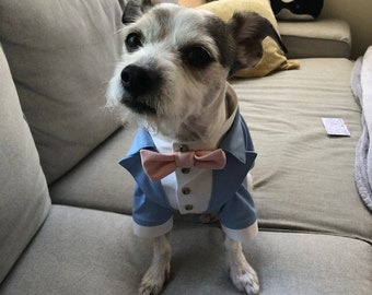 Light blue dog tuxedo with blush bow tie Small dog dog suit Terrier tuxedo Birthday dog costume Westie dog wedding costume Luxury dog suit