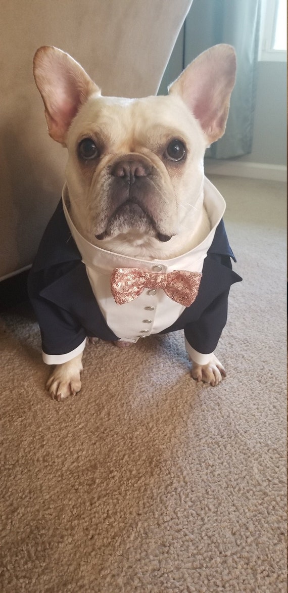 AKC XL Ultra Absorbent Training Pads, 50 Count, 30x28,, 44 OFF