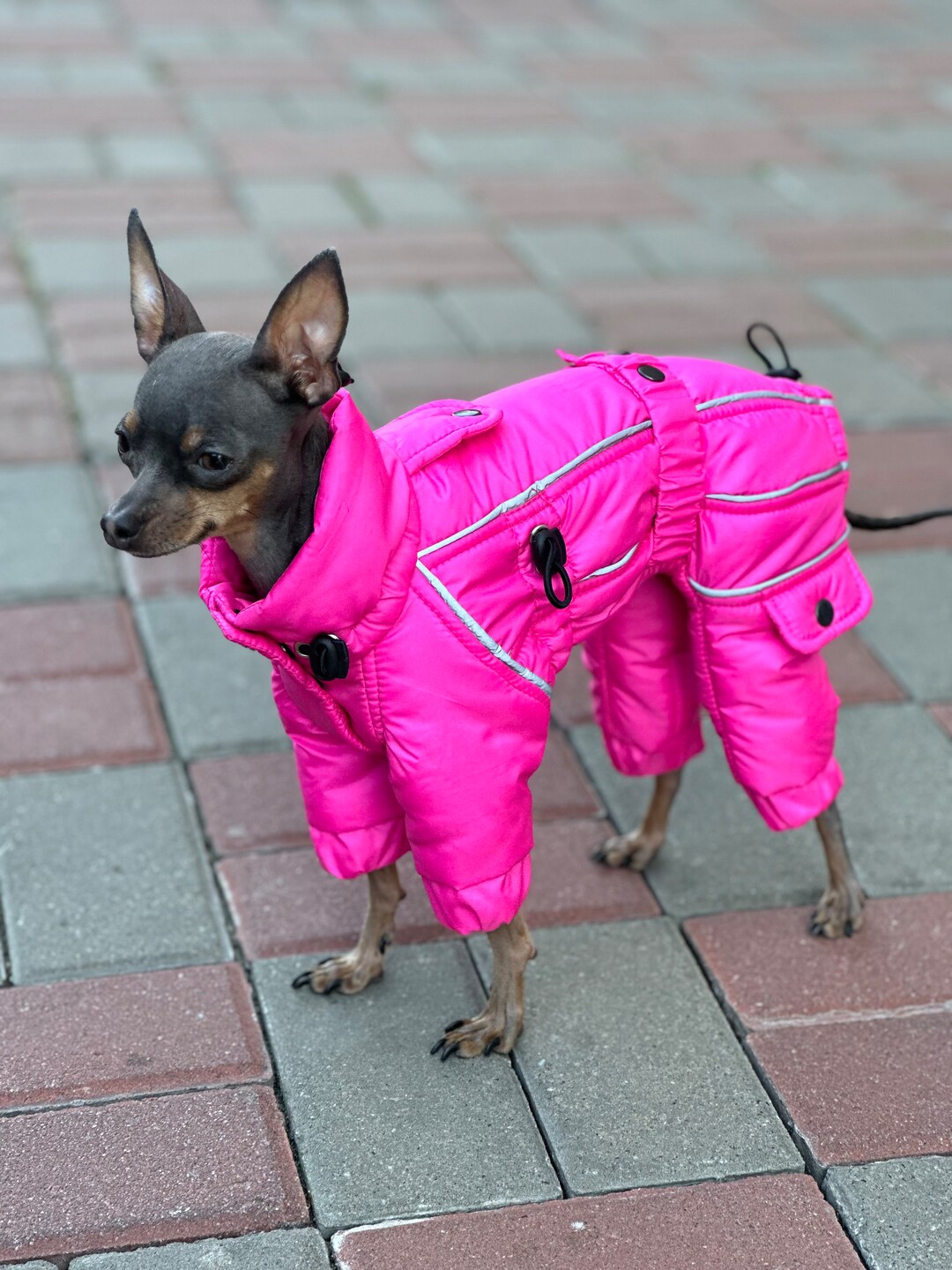 LovinPet XXL Hundepullover – Warmer Flanell-Wintermantel Mit Tier-Print Für Große Hunde