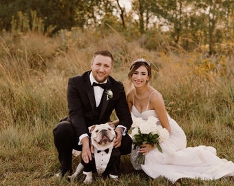 Black Dog Tuxedo with Bow Tie: Custom Formal Dog Suit