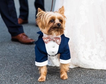 Navy blue dog tuxedo with golden beige sequins bow tie Yorkshire dog wedding suit Formal dog suit Maltese costume Birthday dog costume