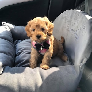 Hondenautostoeltje van grijs imitatiesuède Drijfpakket voor hond Designer hondenautostoeltje Luxe hondenmand voor op reis Aangepast hondenautostoeltje