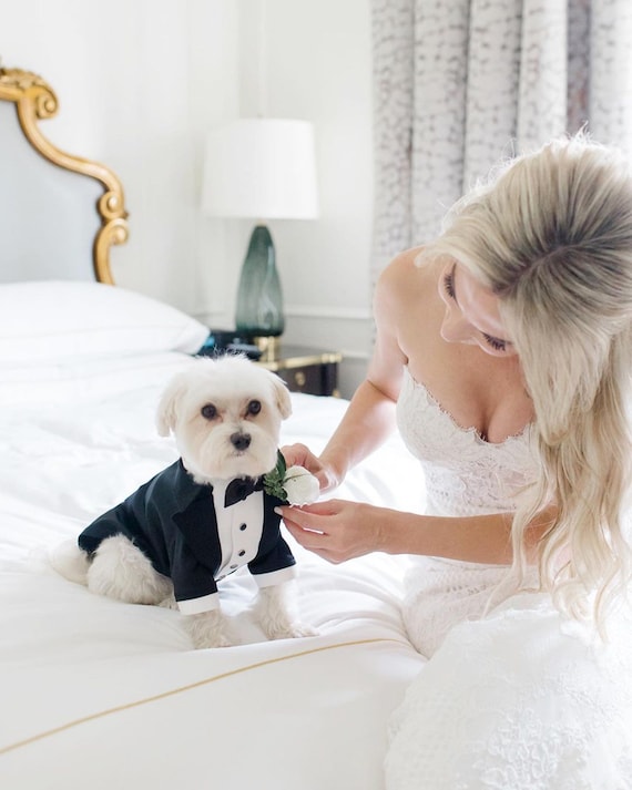 Esmoquin de perro de boda negro Traje de perro formal Traje de - España