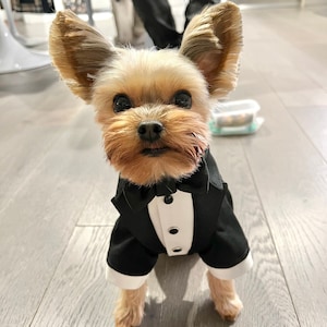 Black wedding dog suit  Bespoke dog tuxedo Yorkshire dog suit Luxury dog outfit Customized dog suit Birthday dog costume Dog wedding attire