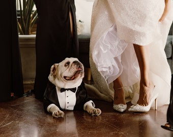 Black dog tuxedo with black bow tie Dog wedding attire Formal dog suit English bulldog bespoke tuxedo Birthday dog suit Custom dog tux