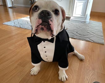 Black Dog Tuxedo with Satin Bow Tie, Custom English Bulldog Wedding Suit, Formal Dog Outfit for Small and Large Dogs