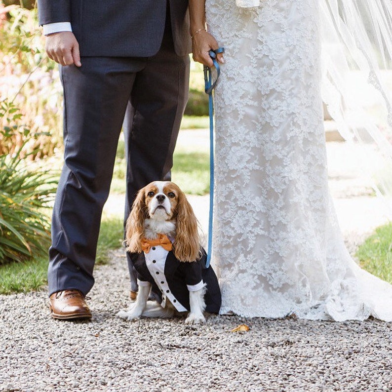 Navy blue wedding dog tux Custom made dog wedding attire Dog formal suit Elegant dog costume Birthday dog Royal blue dog tux image 1