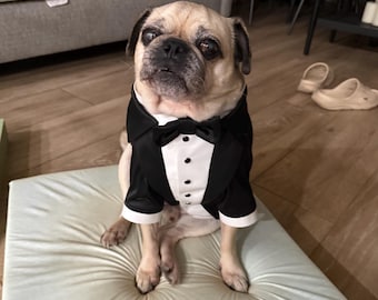 Smoking nero per cani • Abito da cerimonia personalizzato per bulldog francese, carlino e tutte le razze