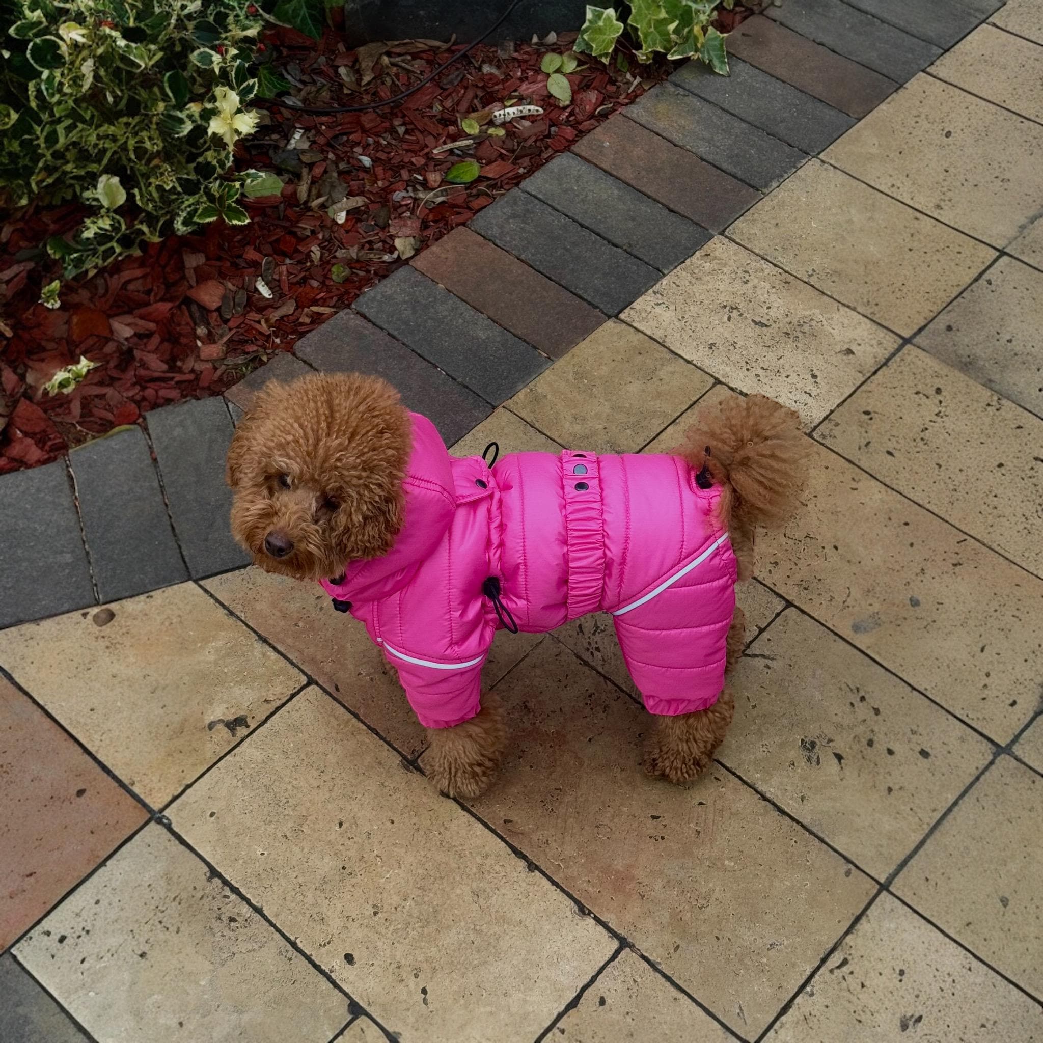 Bright Pink Dog Puffer Overall: Wind-resistant Winter Coat - Etsy