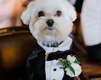 Black wedding dog suit Bespoke dog tuxedo Maltese dog suit Luxury dog outfit Customized dog suit Birthday dog costume Dog wedding attire