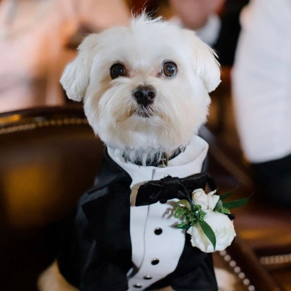 Black wedding dog suit Bespoke dog tuxedo Maltese dog suit Luxury dog outfit Customized dog suit Birthday dog costume Dog wedding attire