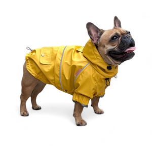 Mustard Yellow Waterproof Raincoat for Dogs