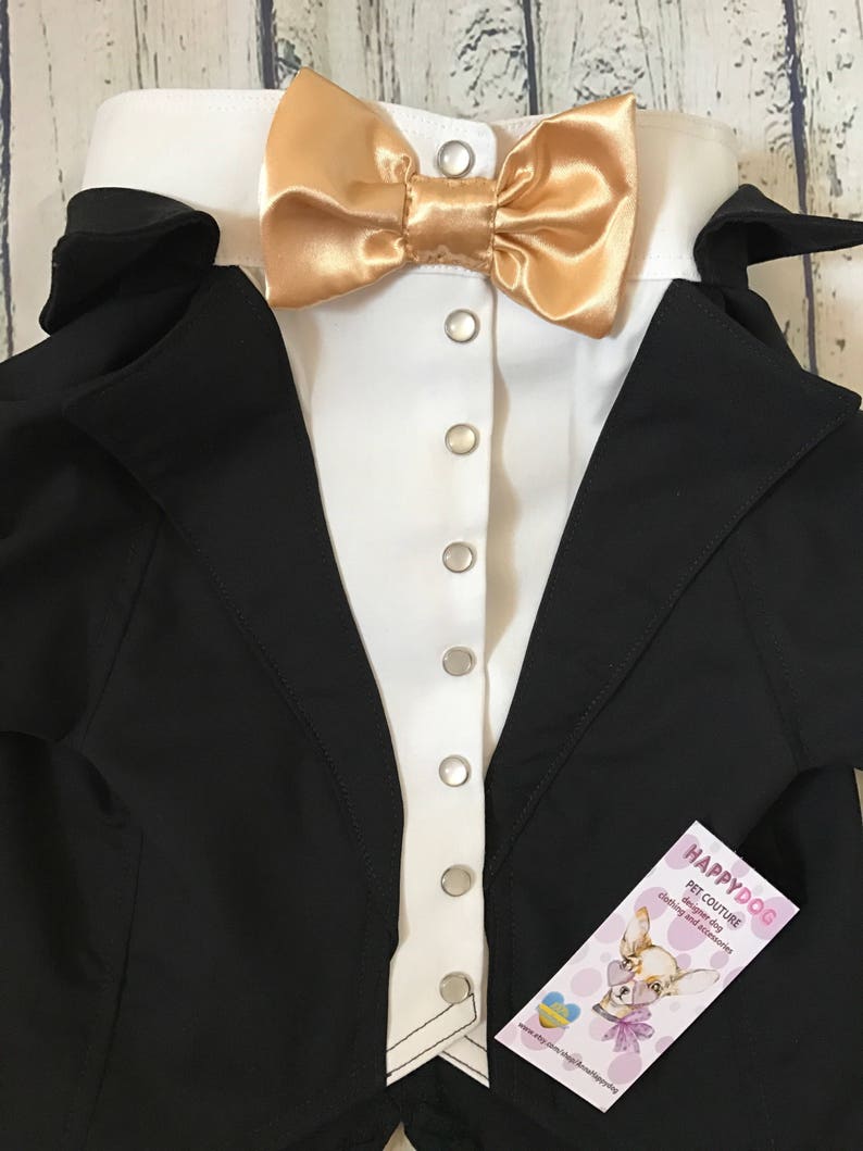 Black dog tuxedo with champagne bow tie Dog wedding attire Pomeranian spitz dog tuxedo Formal dog suit Birthday dog costume Designer tuxedo