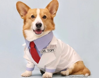 Doctor dog costume Corgie doctor costume Luxury dog outfit Custom dog suit Birthday dog costume Famous dog outfit