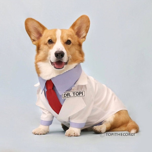 Dog Doctor Costume Etsy
