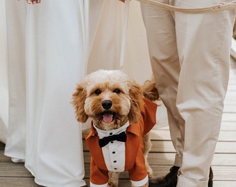 Terracotta dog tuxedo  Poodle custom suit Orange suit for maltipoo Luxury dog outfit Customized dog suit Dog wedding suit