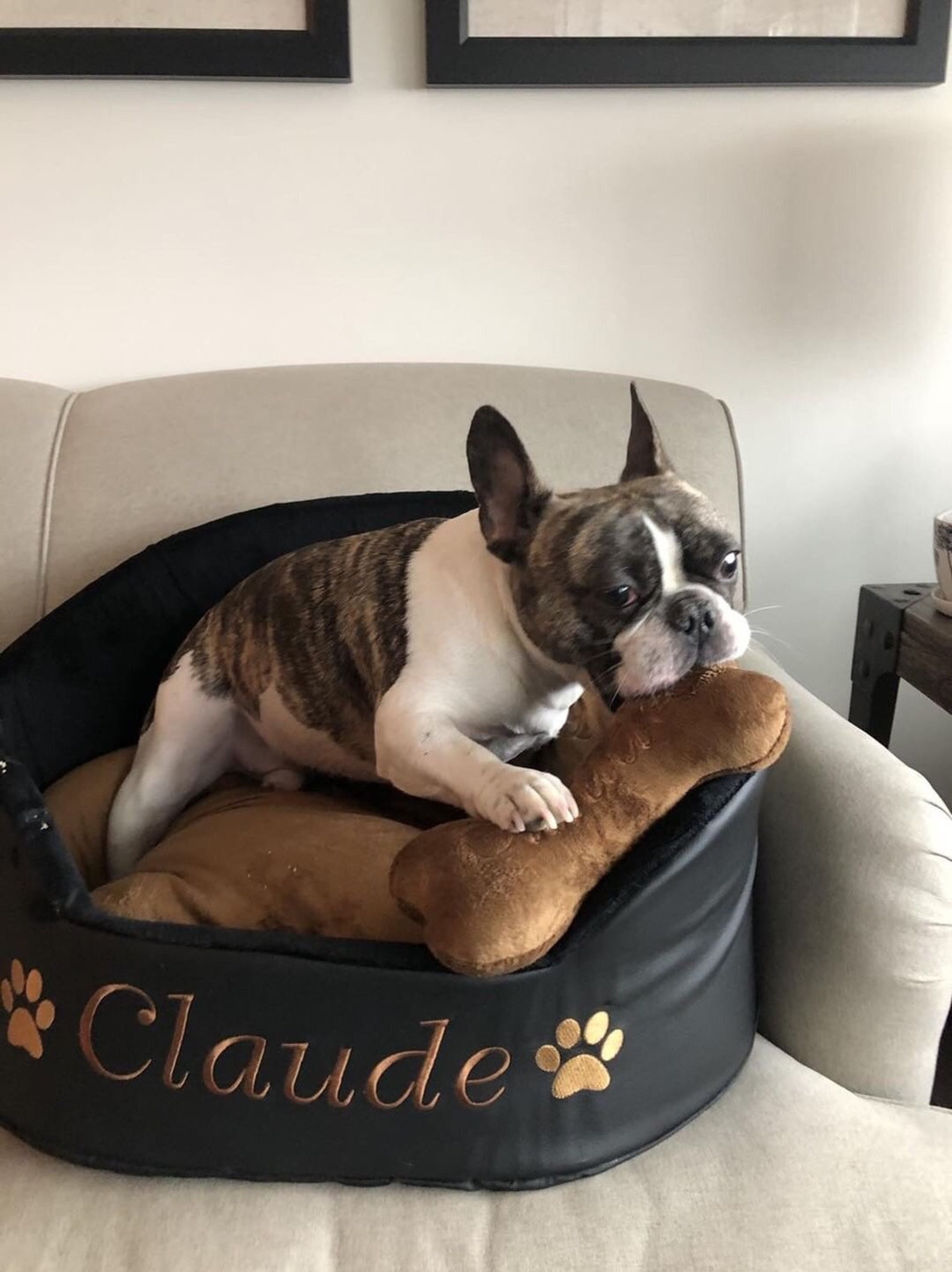 Black and Gray Personalized Dog Bed Faux Leather Pet Bed Etsy