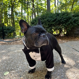 Black wedding dog tuxedo French bulldog suit Black dog suit Luxury dog outfit Custom dog suit Birthday dog costume Dog wedding attire image 1