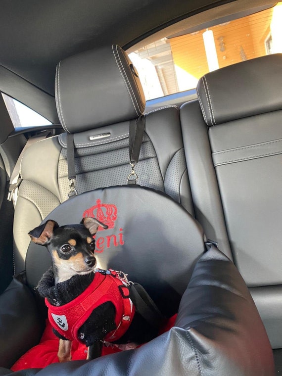Chihuahua Rear Car Seat Cover Chihuahua Rear Car Seat Cover