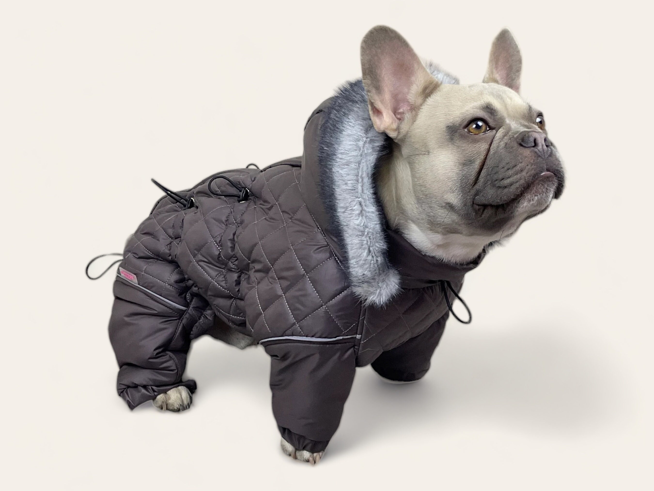 Bolli hotsell dog jacket