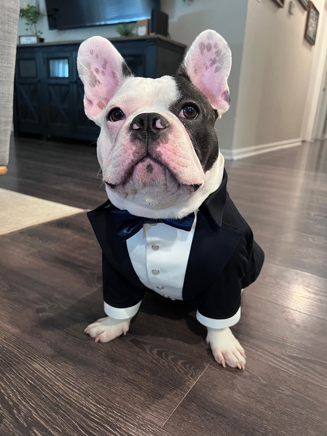 French bulldog bow tie hotsell