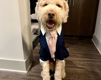 Blue dog jacket with blush tie Doodl formal suit Evening dog costume Classic dog jacket with tie Birthday dog outfit Dog tie