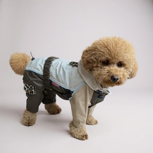 Leopard Accent Dog Raincoat: Custom Fit Waterproof Jacket
