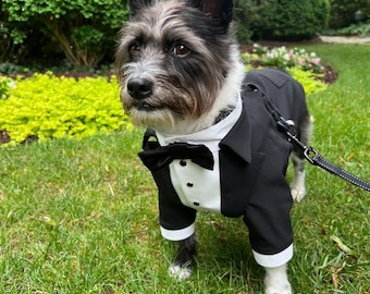 Black wedding dog suit Yorkshire dog suit Luxury dog outfit Customized dog suit Birthday dog costume Dog wedding attire