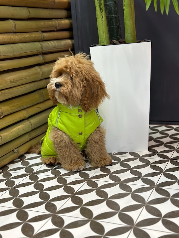 Reflective Lime Green Puffer Dog Vest With Hood - Customizable