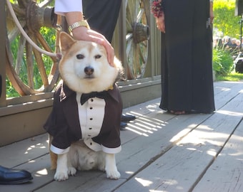 Brown Dog Tuxedo with Black Bow Tie, Custom Wedding Dog Suit, French Bulldog Tuxedo, Ring Bearer Outfit, Formal Dog Jacket, Handmade Pet Clo