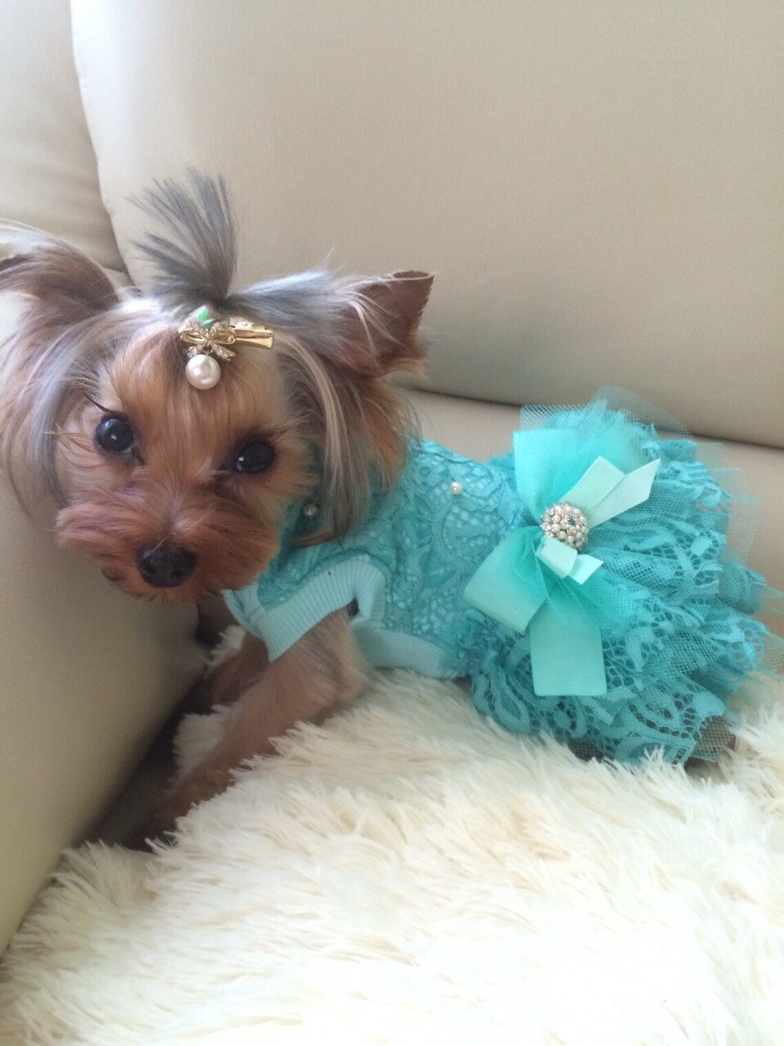 Designer turquoise dog dress Special occassion dog dress Etsy