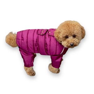Burgundy Puffer Dog Vest – Cozy Winter Jacket for All Dog Breeds