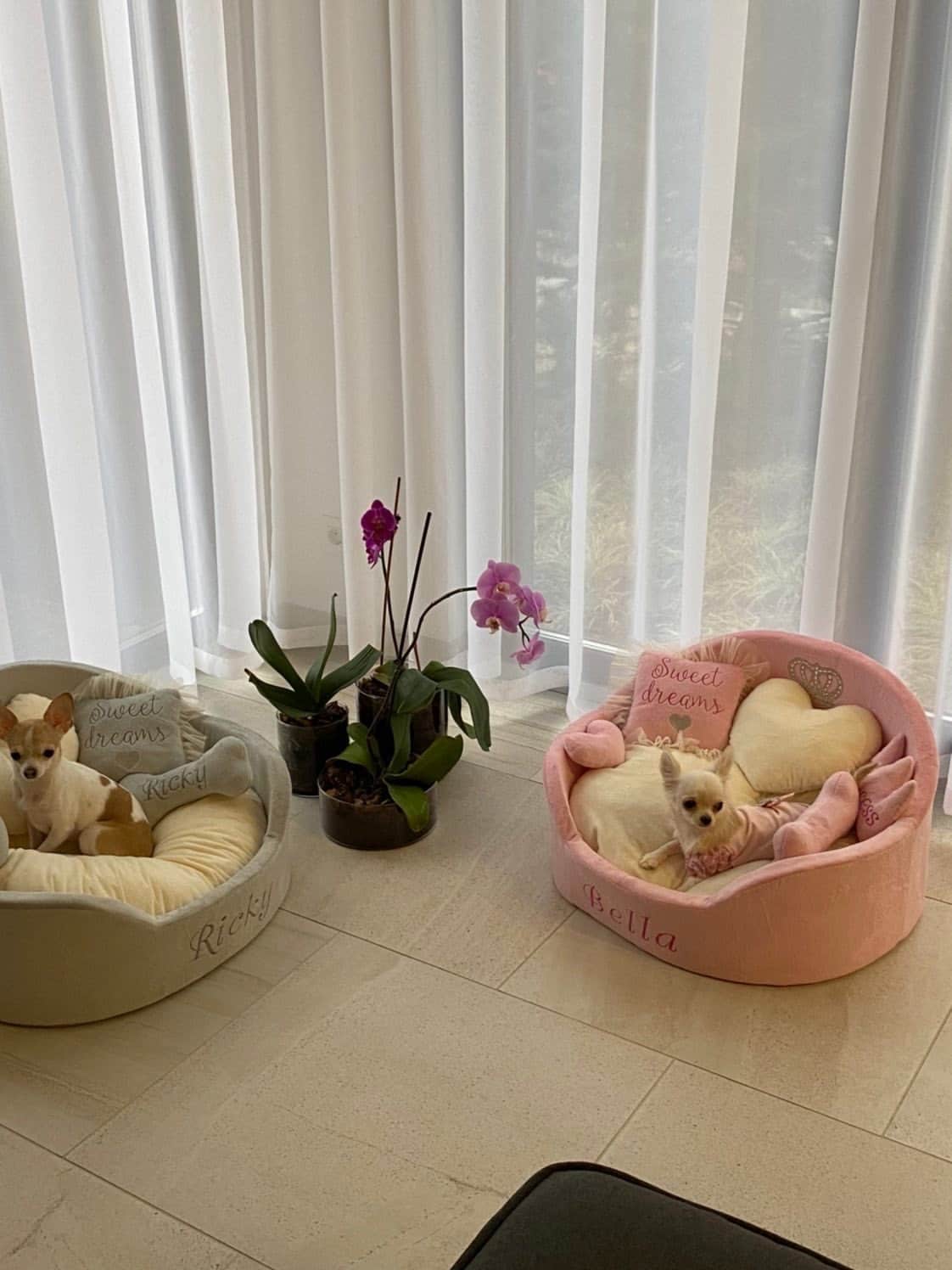 Baby Pink and Cream Dog Bed Pink Bed for Dog Designer Pet Bed Etsy