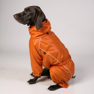 Orange Waterproof Dog Raincoat: Full Body Coverage