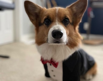 corgi lack dog tuxedo with red sequins bow tie Dog wedding suit Formal dog suit Birthday dog costume Corgi bespoke suit