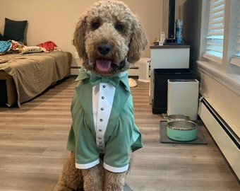 Sage green wedding dog tuxedo  Dog wedding attire Formal dog suit Golden doodle bespoke tuxedo Birthday dog suit