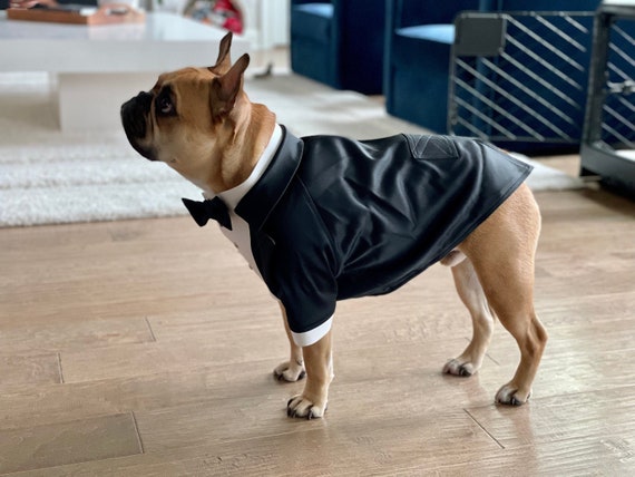 cortador Alta exposición difícil Esmoquin de perro de boda negro Traje de bulldog francés Traje - Etsy México