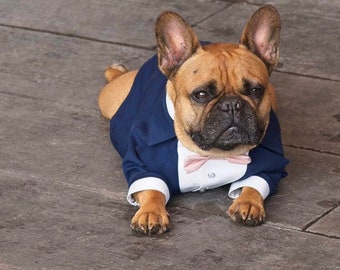 Navy dog tuxedo with blush bow French bulldog wedding suit Formal dog suit English bulldog bespoke tuxedo Birthday dog suit Custom dog tux