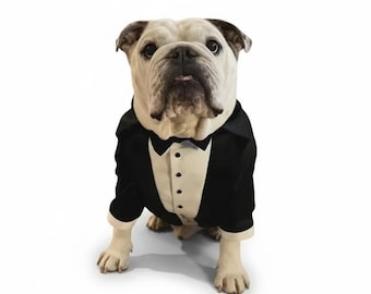 Handmade English Bulldog Tuxedo: Custom Black Satin Dog Wedding Suit