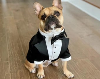Handmade Dog Tuxedo • Custom Wedding Outfit for French Bulldogs