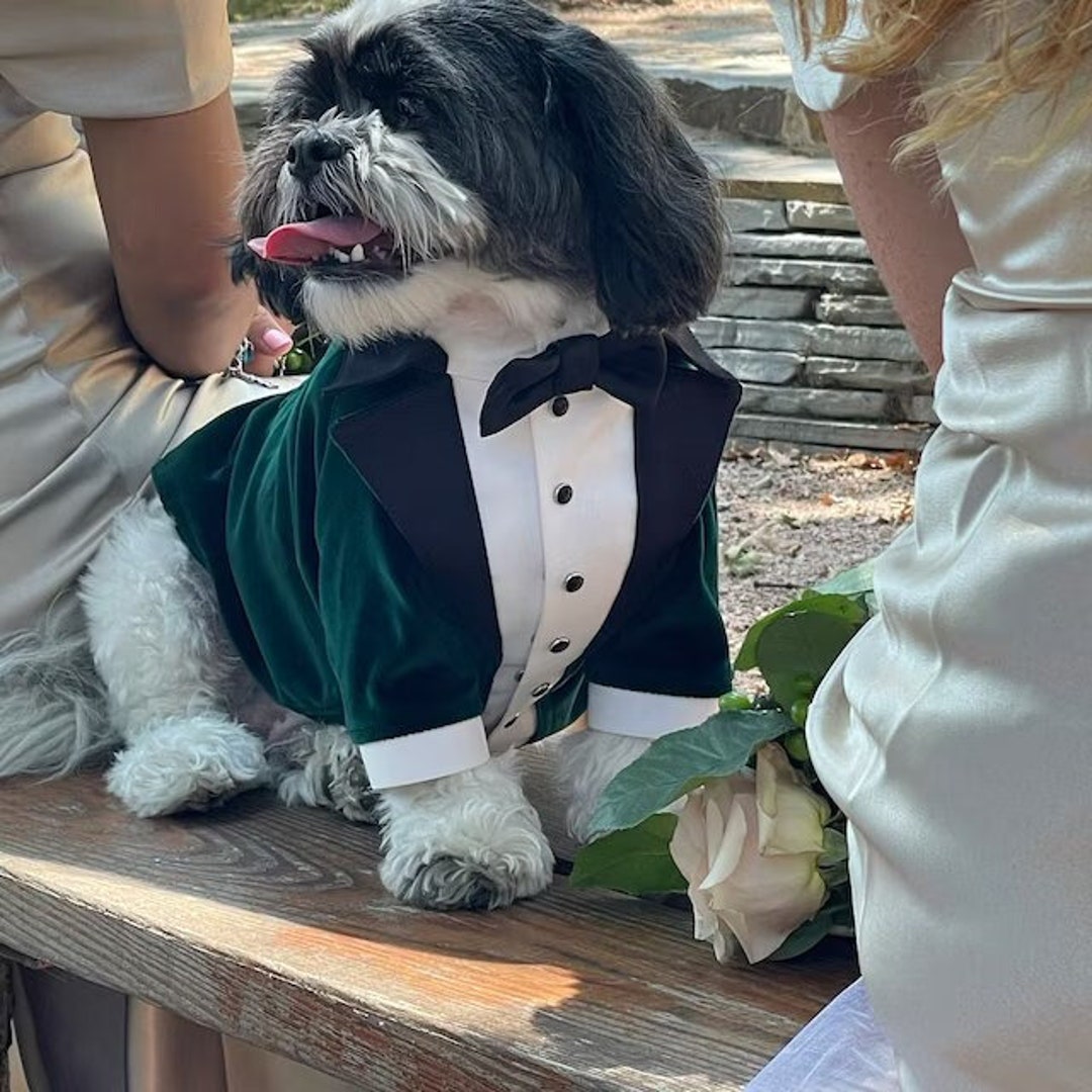 green emerald velvet dress Glittery Princess Look Dog Tulle Dress | Fancy