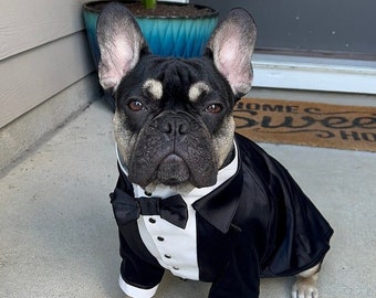 Black dog tuxedo French bulldog tuxedo Frenchie suit Luxury dog outfit Custom dog suit Birthday dog costume Dog ring bearer